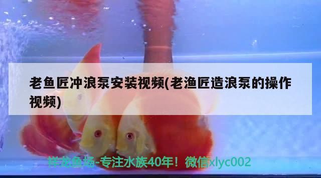 老魚匠沖浪泵安裝視頻(老漁匠造浪泵的操作視頻)