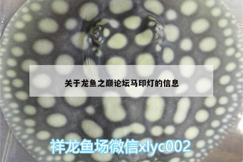 關于龍魚之巔論壇馬印燈的信息