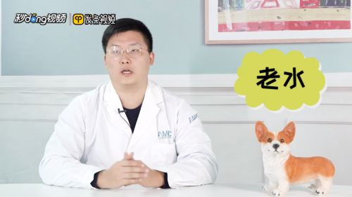 魚(yú)缸養(yǎng)魚(yú)用什么水最好視頻，魚(yú)缸養(yǎng)魚(yú)用什么水最好 魚(yú)缸養(yǎng)魚(yú)用什么水最好視頻，魚(yú)缸養(yǎng)魚(yú)用什么水最好 魚(yú)缸百科 第1張