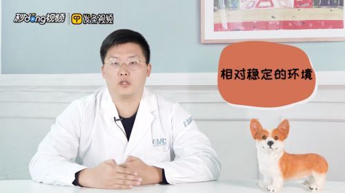 魚(yú)缸養(yǎng)魚(yú)用什么水最好視頻，魚(yú)缸養(yǎng)魚(yú)用什么水最好 魚(yú)缸養(yǎng)魚(yú)用什么水最好視頻，魚(yú)缸養(yǎng)魚(yú)用什么水最好 魚(yú)缸百科 第3張