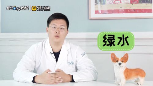魚(yú)缸養(yǎng)魚(yú)用什么水最好視頻，魚(yú)缸養(yǎng)魚(yú)用什么水最好 魚(yú)缸養(yǎng)魚(yú)用什么水最好視頻，魚(yú)缸養(yǎng)魚(yú)用什么水最好 魚(yú)缸百科 第5張