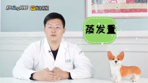 魚(yú)缸養(yǎng)魚(yú)用什么水最好視頻，魚(yú)缸養(yǎng)魚(yú)用什么水最好 魚(yú)缸養(yǎng)魚(yú)用什么水最好視頻，魚(yú)缸養(yǎng)魚(yú)用什么水最好 魚(yú)缸百科 第6張