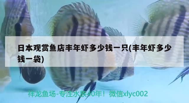 日本觀賞魚店豐年蝦多少錢一只(豐年蝦多少錢一袋)