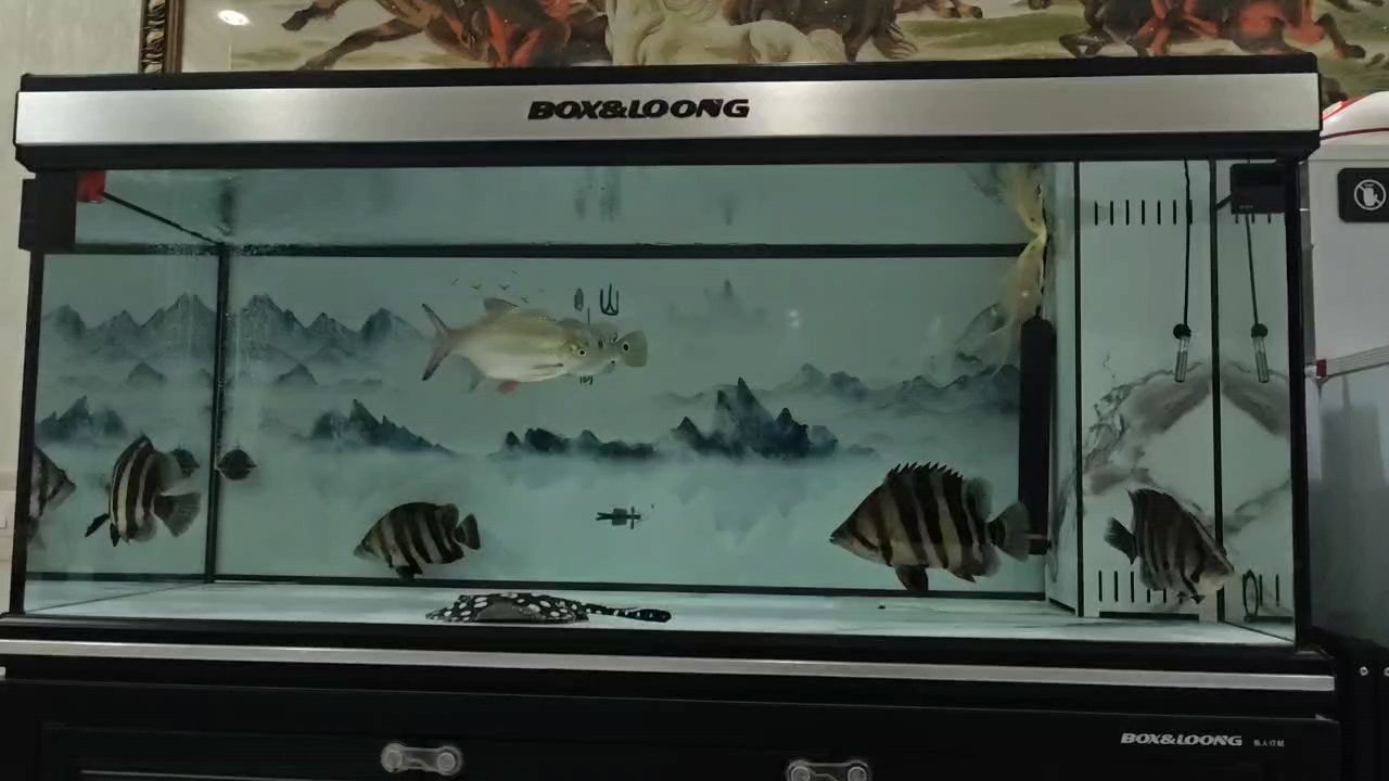 檢疫完畢，開始準備喂食