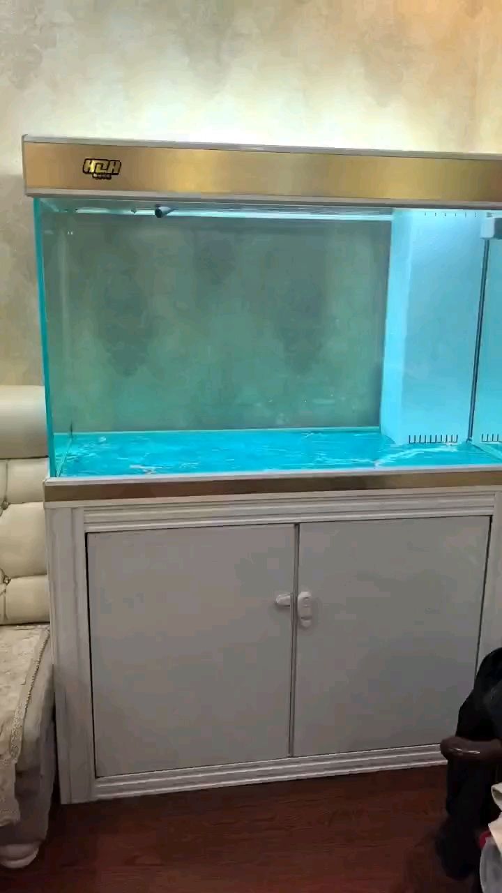 又開一口新缸，二手的性價比很高，五百塊還帶十條魚，銀龍啥的