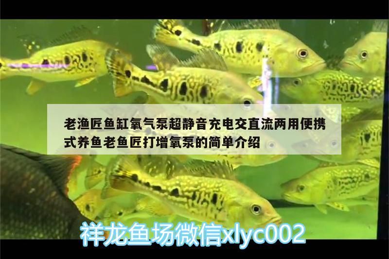 老漁匠魚缸氧氣泵超靜音充電交直流兩用便攜式養魚老魚匠打增氧泵的簡單介紹