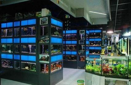 ?愛龍仕水族品牌:魚缸哪個品牌的比較好
