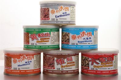 觀賞魚餌料可以釣魚嗎（觀賞魚與食用魚的區別）