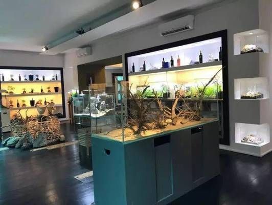 水族館店面裝修圖片：水族館店面裝修設(shè)計(jì)
