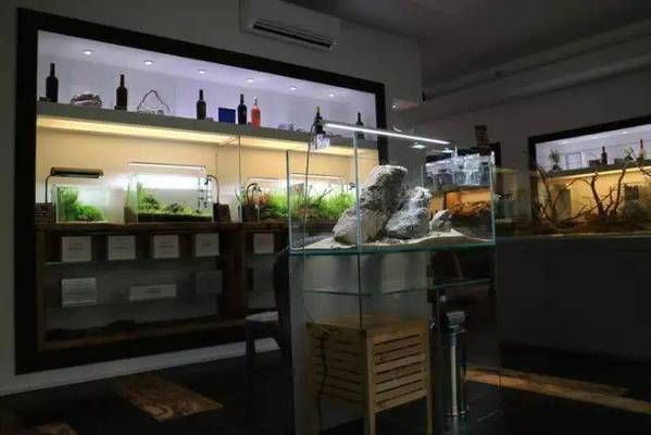 水族館店面裝修圖片：水族館店面裝修設(shè)計(jì)