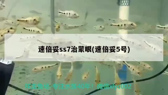 速倍妥ss7治蒙眼(速倍妥5號) 速倍妥ss7治蒙眼(速倍妥5號) 速倍妥