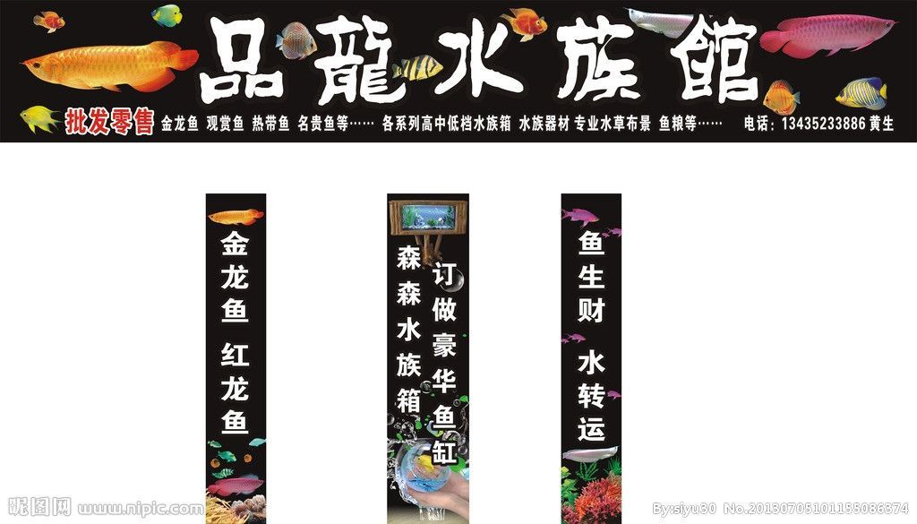 金龍魚水族箱適宜的水草種類：金龍魚水族箱水草布局技巧,水榕與莫斯水草的養護區別