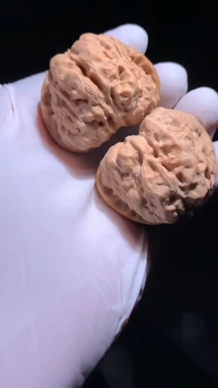 懷柔蛤蟆頭核桃 懷柔蛤蟆頭核桃 龍魚論壇