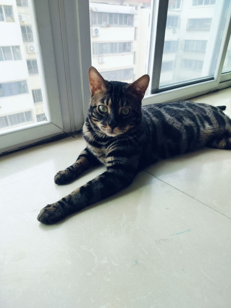越來越好看