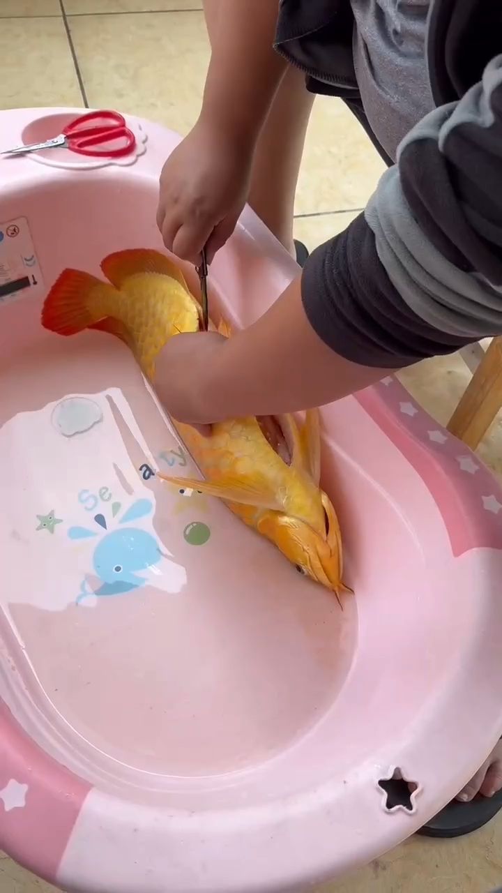 結(jié)束