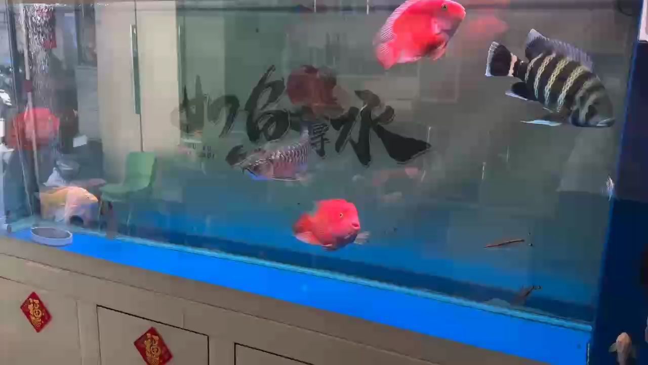 day、128 換水后的小清新