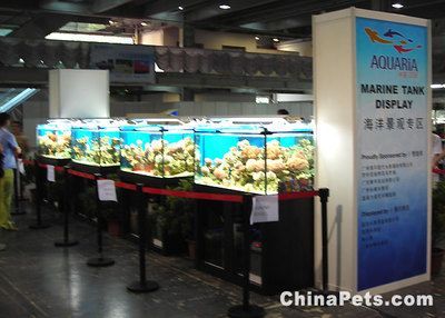 2024年觀賞魚(yú)展覽會(huì)圖片：2024年中國(guó)(福州)國(guó)際漁業(yè)博覽會(huì) 2024年觀賞魚(yú)展覽會(huì)圖片：2024年中國(guó)(福州)國(guó)際漁業(yè)博覽會(huì) 魚(yú)缸百科 第1張