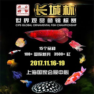 2024年觀賞魚(yú)展覽會(huì)圖片：2024年中國(guó)(福州)國(guó)際漁業(yè)博覽會(huì) 2024年觀賞魚(yú)展覽會(huì)圖片：2024年中國(guó)(福州)國(guó)際漁業(yè)博覽會(huì) 魚(yú)缸百科 第3張