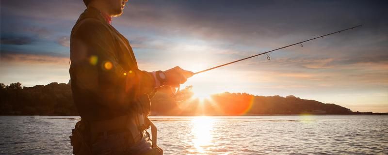 保定魚缸搬運公司電話（ 保定魚缸搬運公司電話多少） 保定魚缸搬運公司電話（ 保定魚缸搬運公司電話多少） 貝因美