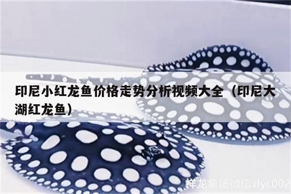 紅龍魚大湖魚能吃嗎：紅龍魚大湖魚的營養價值