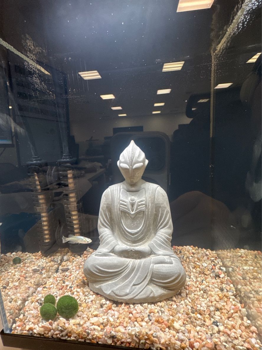 新手開缸，為什么水那么硬？ 新手開缸，為什么水那么硬？ 龍魚論壇