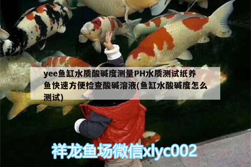 yee魚(yú)缸水質(zhì)酸堿度測(cè)量PH水質(zhì)測(cè)試紙養(yǎng)魚(yú)快速方便檢查酸堿溶液(魚(yú)缸水酸堿度怎么測(cè)試) yee魚(yú)缸水質(zhì)酸堿度測(cè)量PH水質(zhì)測(cè)試紙養(yǎng)魚(yú)快速方便檢查酸堿溶液(魚(yú)缸水酸堿度怎么測(cè)試) yee