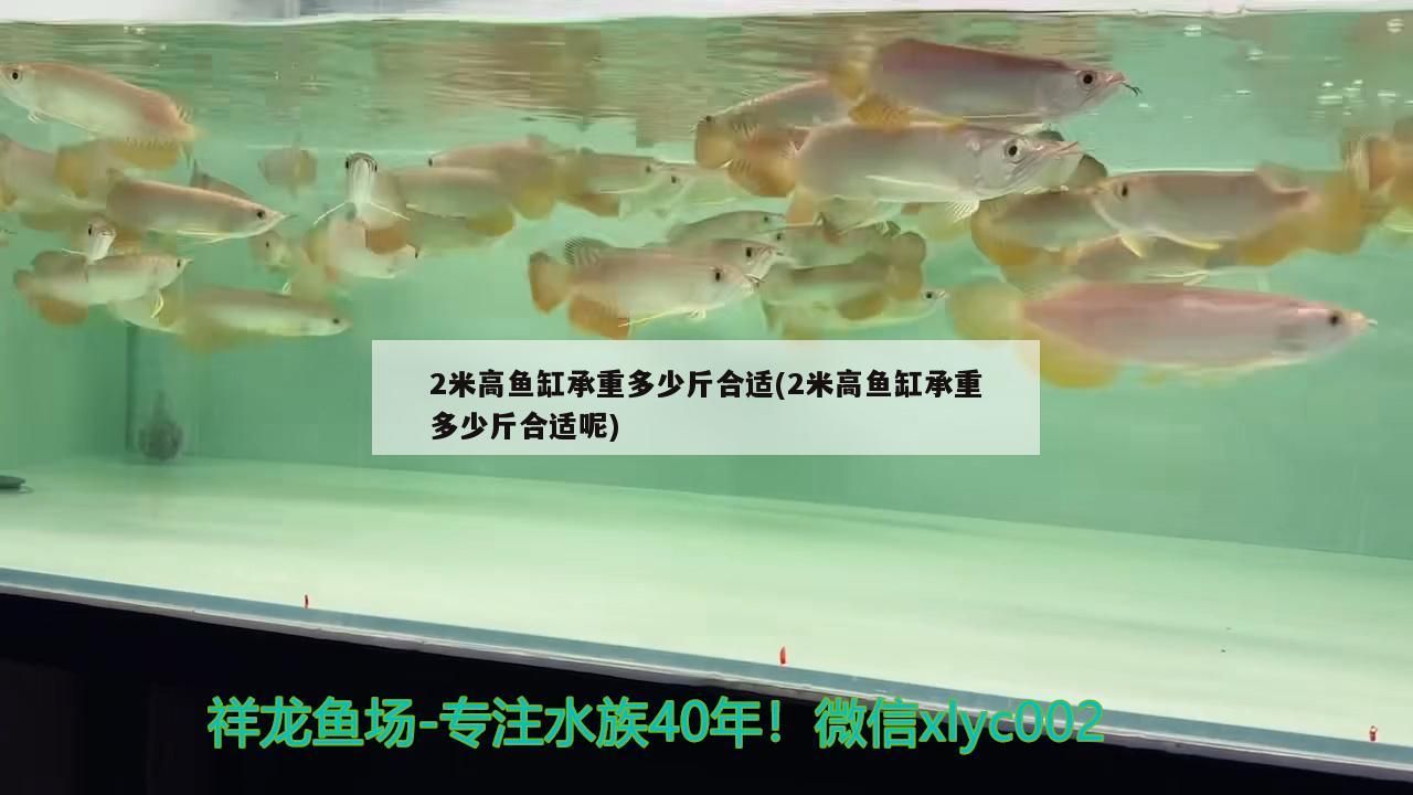 2米高魚缸承重多少斤合適(2米高魚缸承重多少斤合適呢) 2米高魚缸承重多少斤合適(2米高魚缸承重多少斤合適呢) 可麗愛魚缸