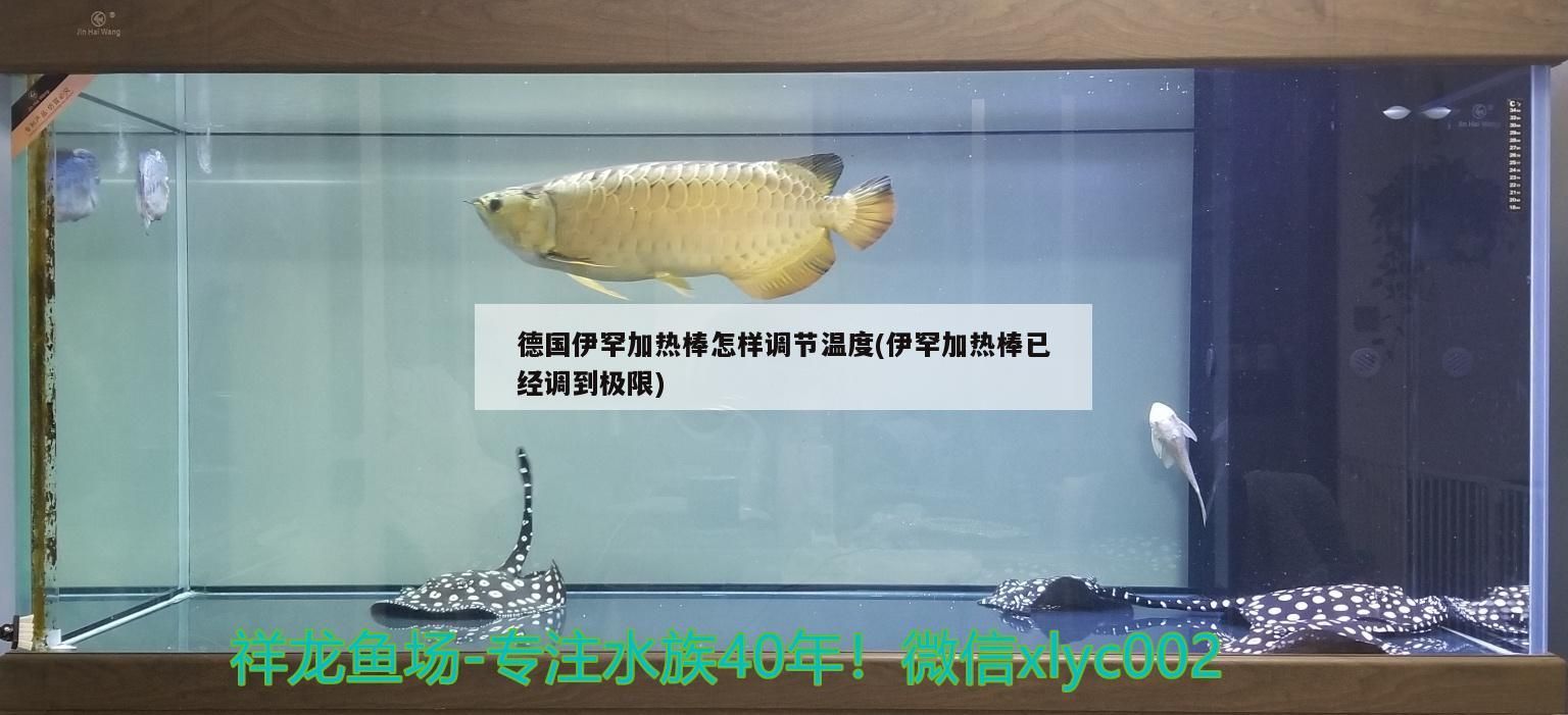 德國伊罕加熱棒怎樣調節溫度(伊罕加熱棒已經調到極限)