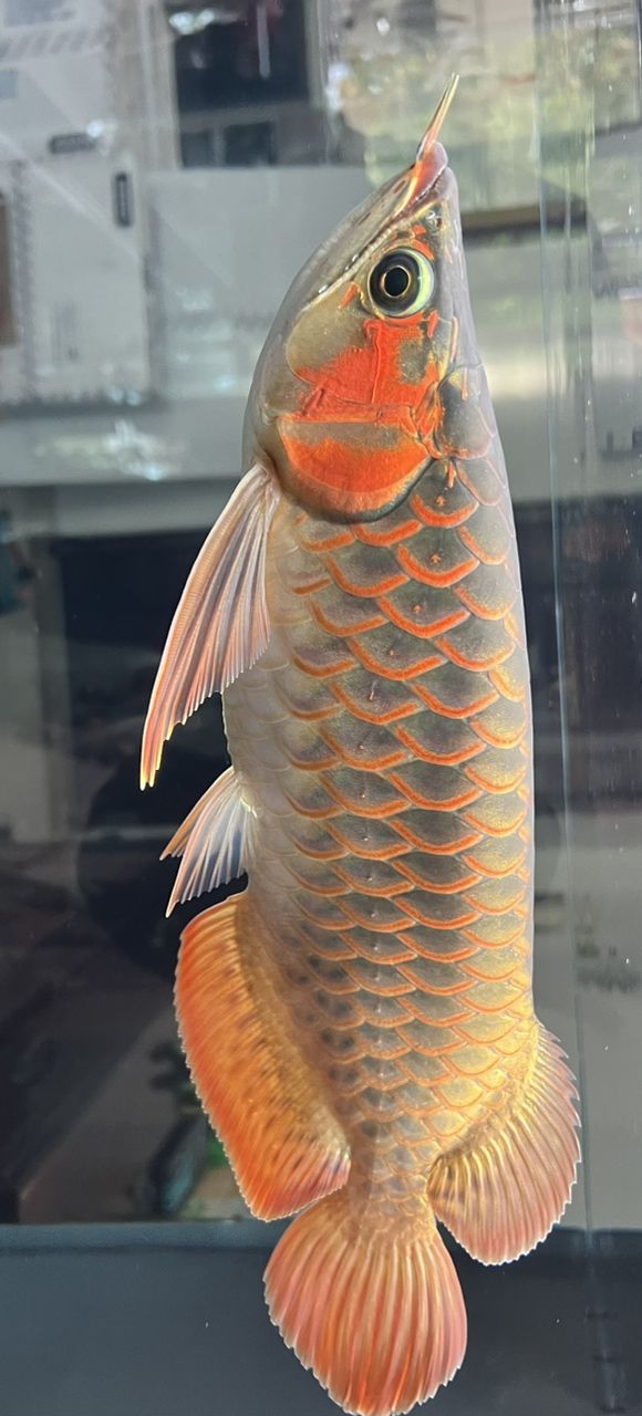 一個多月了有什么變化？