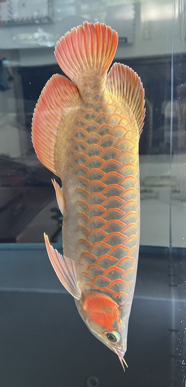一個多月了有什么變化？