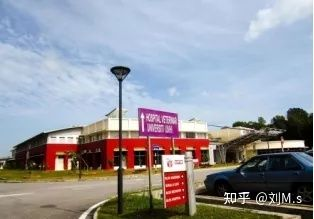 魟魚死了會飄上來嗎：魟魚死亡后會飄上來嗎