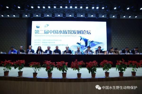 水族館一般多大：歐洲最大水族館規(guī)模可以從多個(gè)維度來衡量水體容量