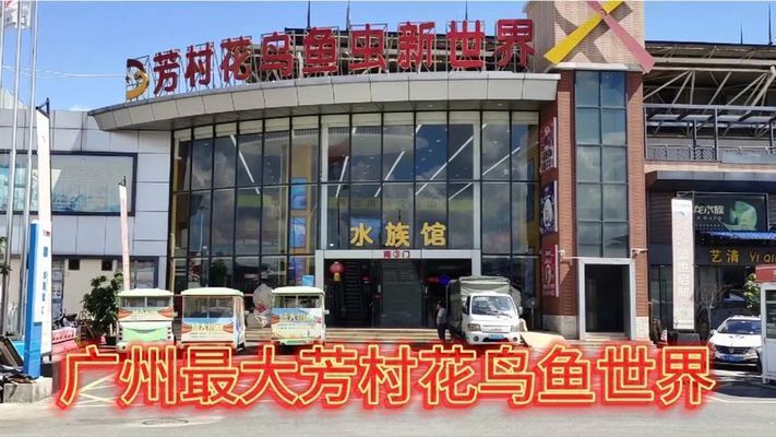 水族館一般多大：歐洲最大水族館規(guī)模可以從多個(gè)維度來衡量水體容量