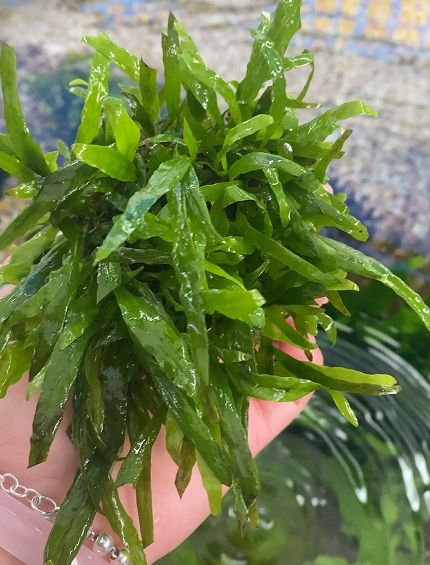 好無(wú)聊，捅一下路過(guò)的網(wǎng)友