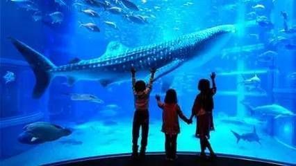 十大水族館介紹：上海海洋主題公園海洋主題公園、海洋主題公園之一水族館