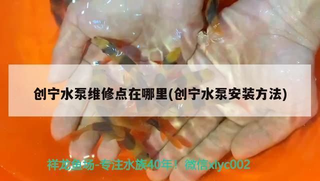 創寧水泵維修點在哪里(創寧水泵安裝方法)