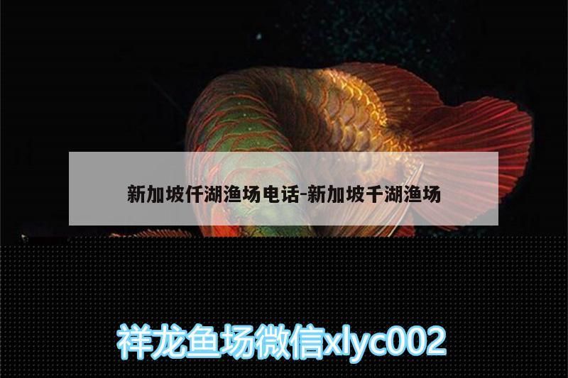 新加坡仟湖漁場電話:新加坡千湖漁場