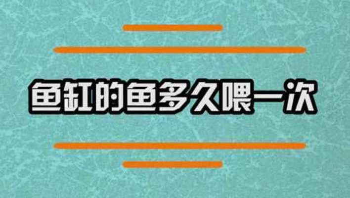 老魚匠變頻水泵使用說明（老魚匠變頻水泵說明書）
