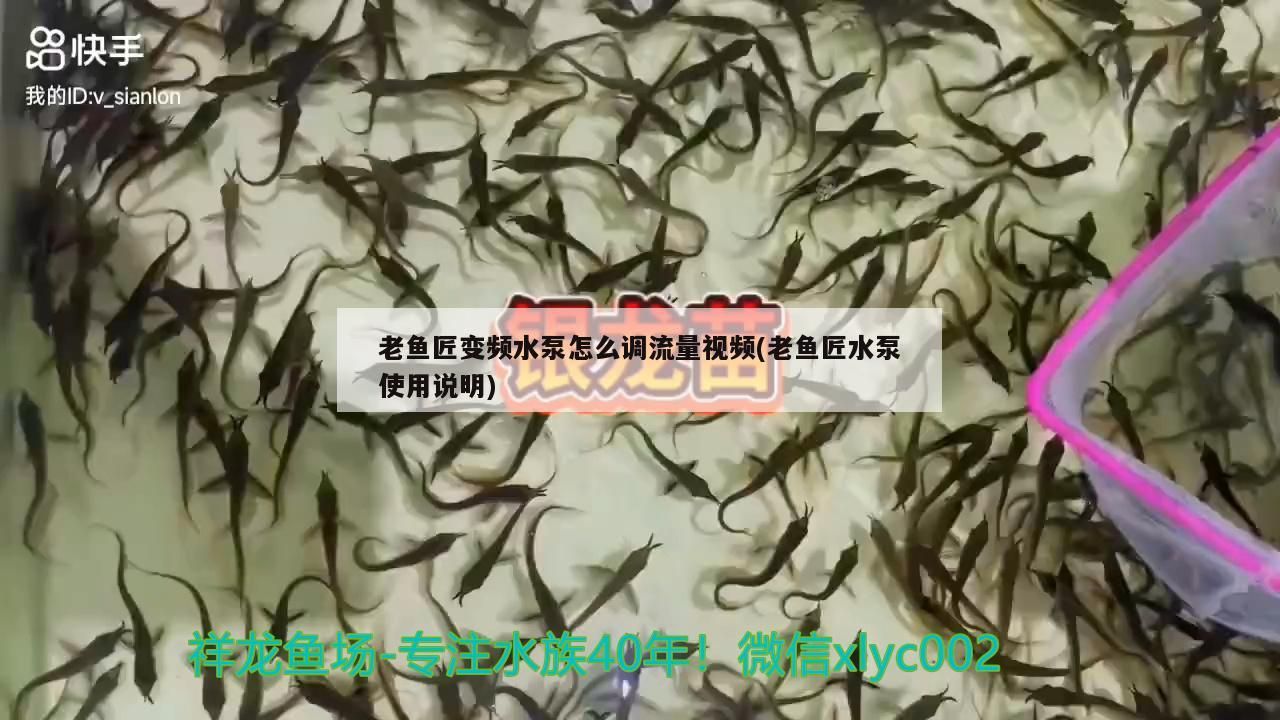 老魚匠變頻水泵怎么調流量視頻(老魚匠水泵使用說明) 老魚匠變頻水泵怎么調流量視頻(老魚匠水泵使用說明) 老魚匠