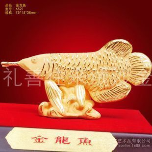 怎么挑選紅龍魚的好壞視頻講解：如何挑選優質紅龍魚，視頻指南與實用技巧