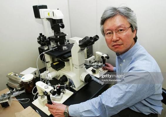 魚形風水出什么人才，解析風水格局與人才培養的奧秘