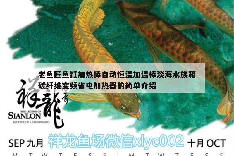老魚匠魚缸加熱棒自動恒溫加溫棒淡海水族箱碳纖維變頻省電加熱器的簡單介紹