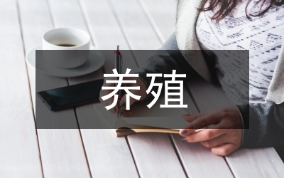 魚諧音的名字大全，創意與吉祥的完美結合 魚諧音的名字大全，創意與吉祥的完美結合 龍魚百科 第2張