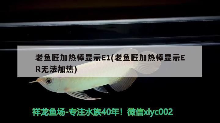 老魚匠加熱棒顯示E1(老魚匠加熱棒顯示ER無法加熱)