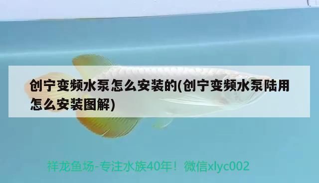 創寧變頻水泵怎么安裝的(創寧變頻水泵陸用怎么安裝圖解)
