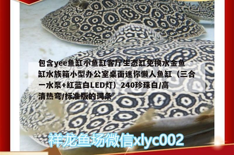 包含yee魚缸小魚缸客廳生態缸免換水金魚缸水族箱小型辦公室桌面迷你懶人魚缸（三合一水泵+紅藍白LED燈）240珍珠白/高清熱彎/標準版的詞條