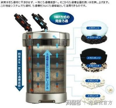 質量好的魚缸過濾器品牌，魚缸過濾器品牌性價比排行如何正確安裝魚缸過濾器