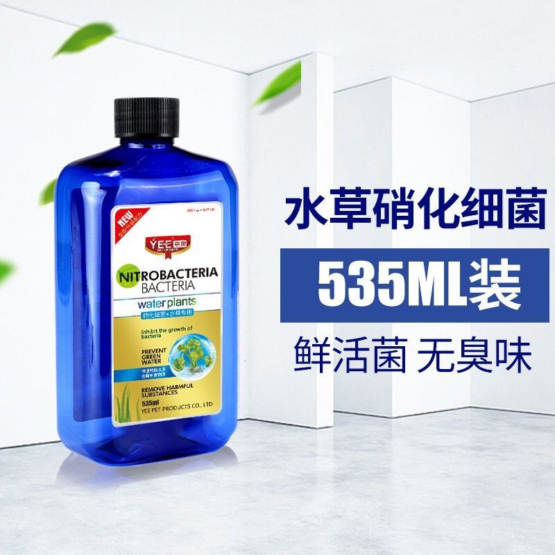 魚跳出魚缸后的存活時間差異很大，魚跳出魚缸后的存活時間取決于多種因素 魚跳出魚缸后的存活時間差異很大，魚跳出魚缸后的存活時間取決于多種因素 龍魚百科 第1張
