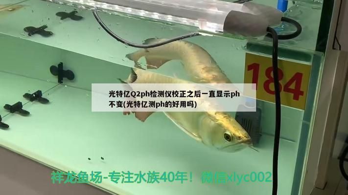 祥龍魚糧瓶蓋文字刮痕測試方法（祥龍魚糧文字刮痕測試方法） 祥龍魚糧瓶蓋文字刮痕測試方法（祥龍魚糧文字刮痕測試方法） 水族館百科（水族館加盟） 第5張
