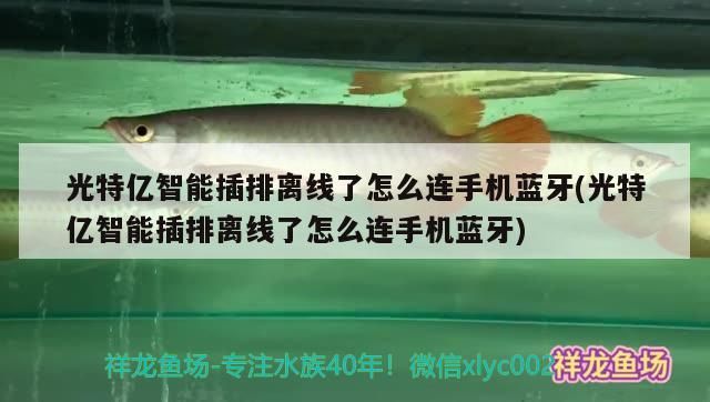 光特億智能插排離線了怎么連手機藍牙(光特億智能插排離線了怎么連手機藍牙)